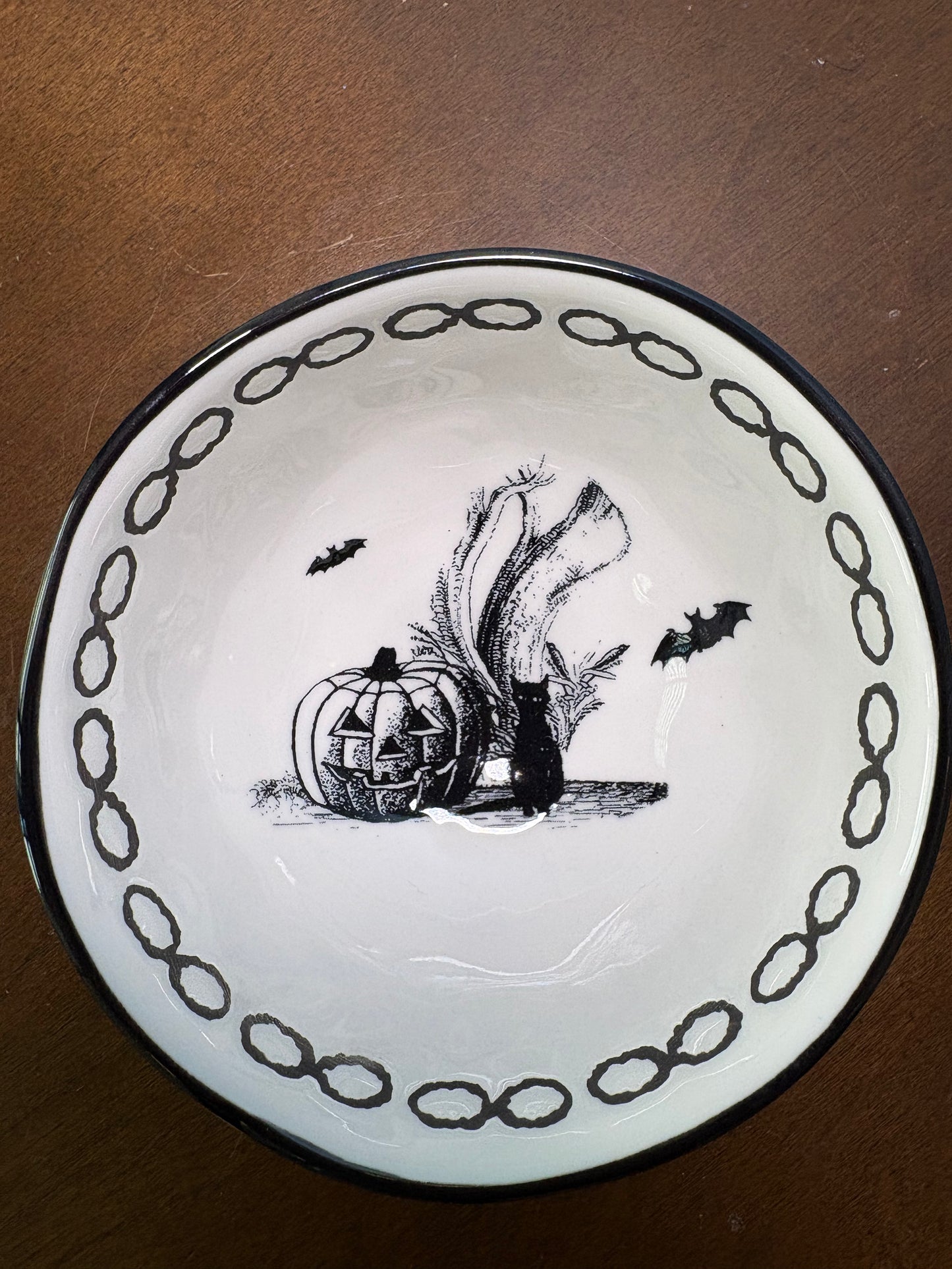 Cat Found His Friend Bowl