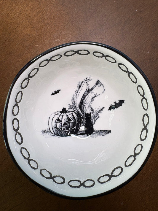 Cat Found His Friend Bowl